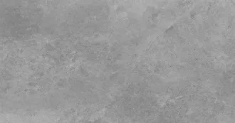 Tacoma Silver