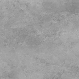 Tacoma Silver Rect