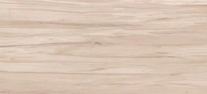 Плитка Cersanit Botanica Коричневый BNG111D 20x40 сатинированная