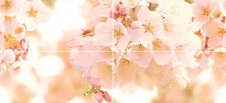 Cherry CW2H454