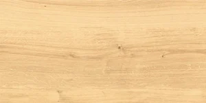 Керамогранит Cersanit Woodhouse Бежевый WS4O012D 29,7x59,8 матовый
