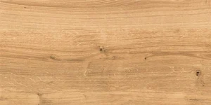 Керамогранит Cersanit Woodhouse Коричневый WS4O112D 29,7x59,8 матовый
