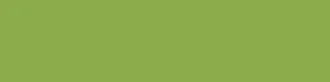 Matt Kiwi