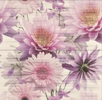 Chinese Asters