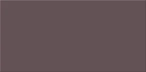 Плитка Opoczno Chinese Violet Satin 29,7x60 глянцевая