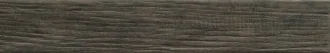 Alaska Pecan 1058449