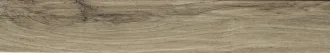 Alaska Sand 1058450