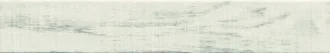 Alaska White 1058453