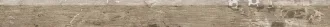 Kentucky American Elm Battiscopa 1059234