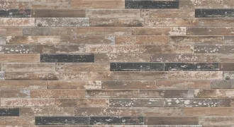 Kentucky Pine 1056583