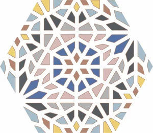 Керамогранит Codicer Hex. Kasbah Mix Colors 22x25 матовый