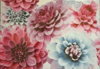 Colors Decor
