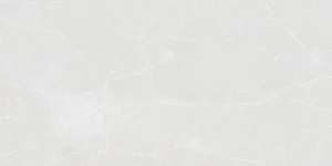 Керамогранит Colortile Elegance Bianco 60x120 матовый