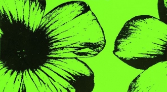 Colour D-Floral Green