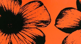 Colour D-Floral Orange