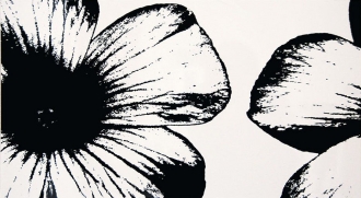 Colour D-Floral White