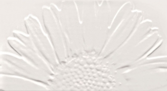 Colour D-Sunflower White