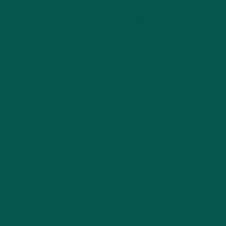 City Color Зеленый 4343216012