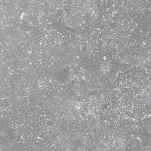 Керамогранит Equipe Coralstone Grey 20x20 матовый