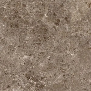 Керамогранит Coverlam by Grespania 80RC23P Artic Moka Pulido 120x120 глянцевый