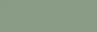 Ekzotic Olive NB_0403