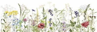 Flora Bloom