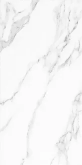 Mono Agave 00-00-5-18-00-00-2445