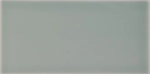 Плитка Dar Ceramics Biselado Liso Devon Fern Brillo 10x20 глянцевая