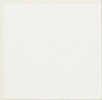 Liso Blanco Brillo 6713