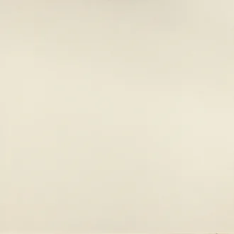 Dechirer Neutral Bianco PUDN01