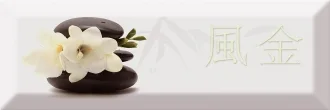 Decor Japan Tea 04 B
