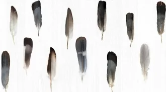 Decorandum Pluma 6000681