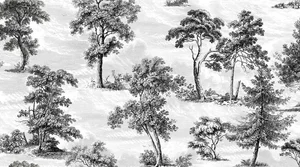 Плитка Vallelunga Decorandum Saltus 50x100 матовая