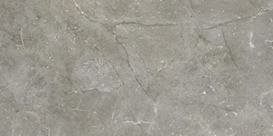 Плитка Vives Dedalo-R Ceniza 59,3x119,3 глянцевая