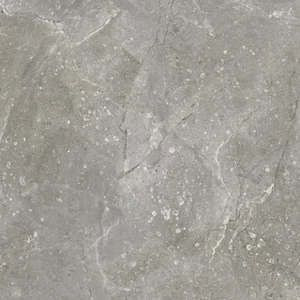 Плитка Vives Dedalo-R Ceniza 59,3x59,3 глянцевая