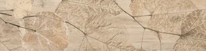 Керамогранит Del Conca Foreste D'Italia Foliage Beige 27FI01FO 20x80 матовый