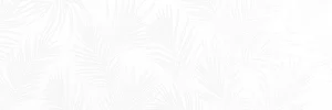 Плитка Delacora WT15EXI00R Экзотик белый / Exotic White 24,6x74 глянцевая