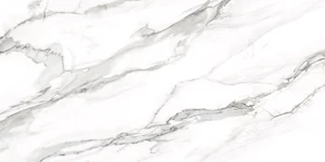 Керамогранит Delacora D12053M Омега Сильвер / Omega Silver 60x120 матовый