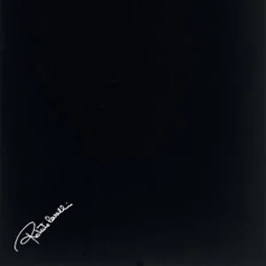Декоративный элемент Roberto Cavalli Diva Nero Firma 553625 32x32 матовый