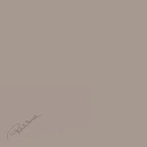 Декоративный элемент Roberto Cavalli Diva Tortora Firma 553624 32x32 матовый