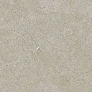Керамогранит La Fabbrica AVA Dolomiti Cenere Liscio Rett. 86053 60x60 матовый