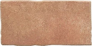 Керамогранит Domino Santa Fe Castanho 16,5x33 матовый
