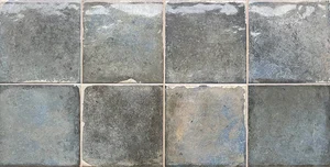 Плитка Dual Gres Terra Moss 30x60 глянцевая
