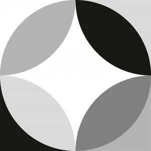 Керамогранит Dune Black&White Circular 187819 20x20 матовый