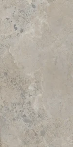 Керамогранит Dune 188998 Pietra viva Taupe 60x120 матовый