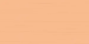 Плитка Rako Easy WATMB065 20x40 матовая