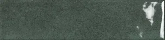 Harlequin Green