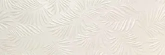 Soften Bone Rect