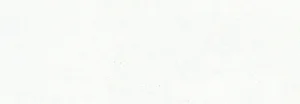 Плитка El Molino Tikko Blanco 30x90 (стена) матовая