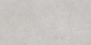Керамогранит Emigres Varsovia Gris Rect. Lap 60x120 лаппатированный